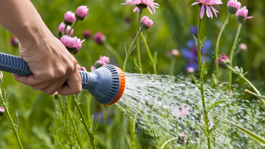 Les outils de jardinage sont aussi adaptés aux femmes