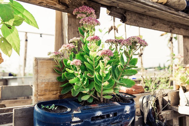 Créer un potager urbain sur son balcon